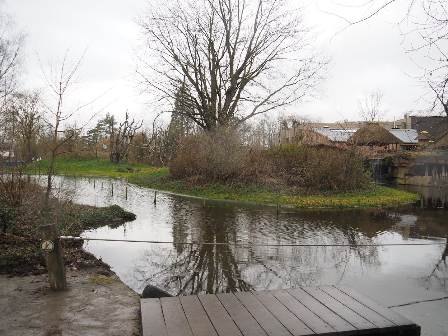 Bonobo island, 2023-02-19