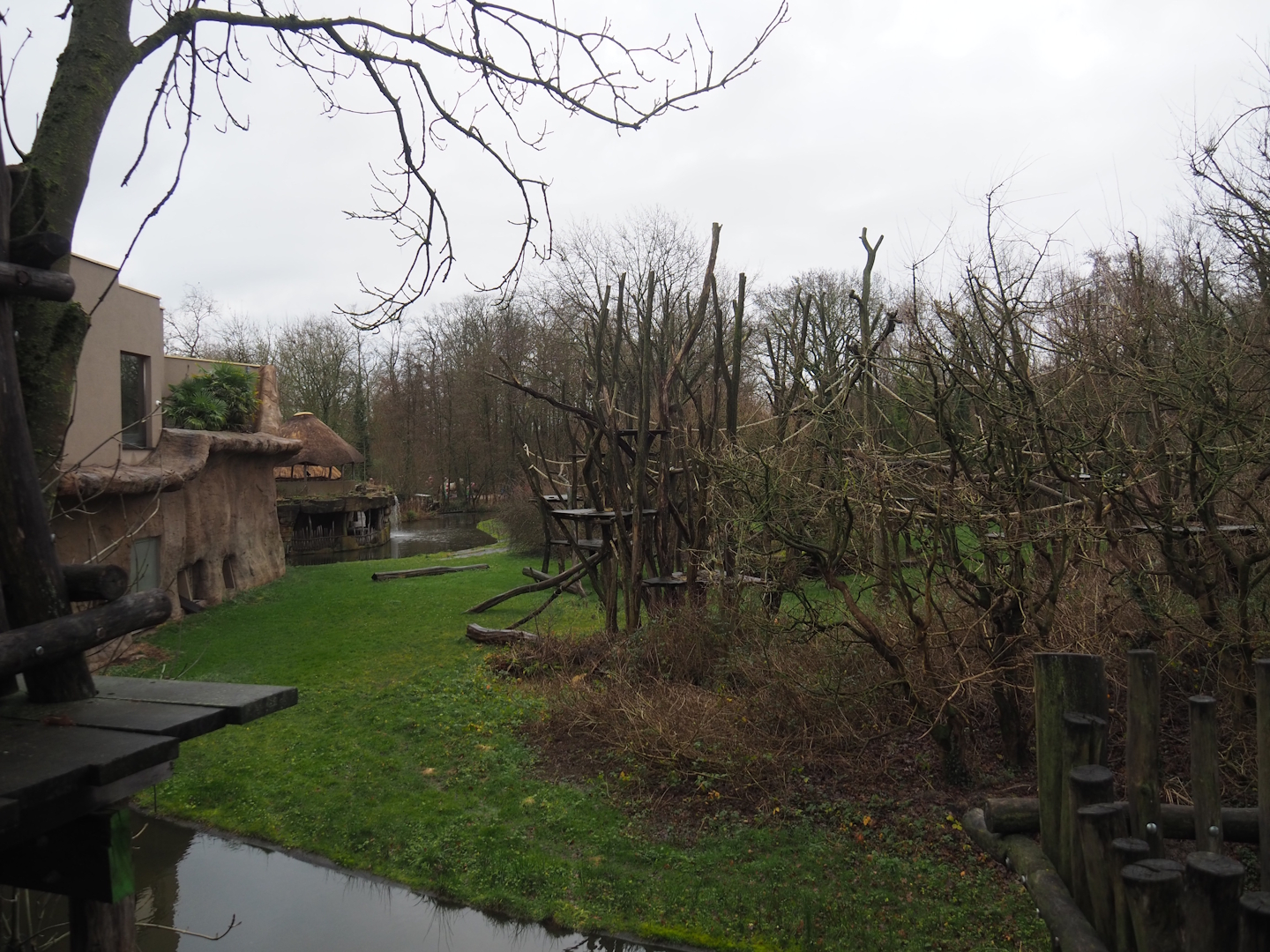 Bonobo island, 2024-01-01