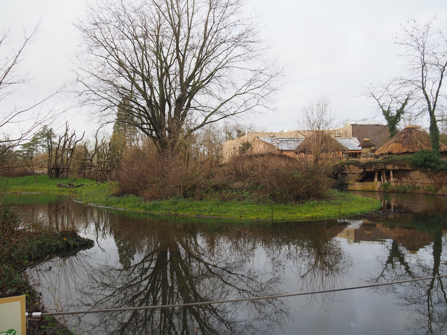 Bonobo island, 2024-01-01