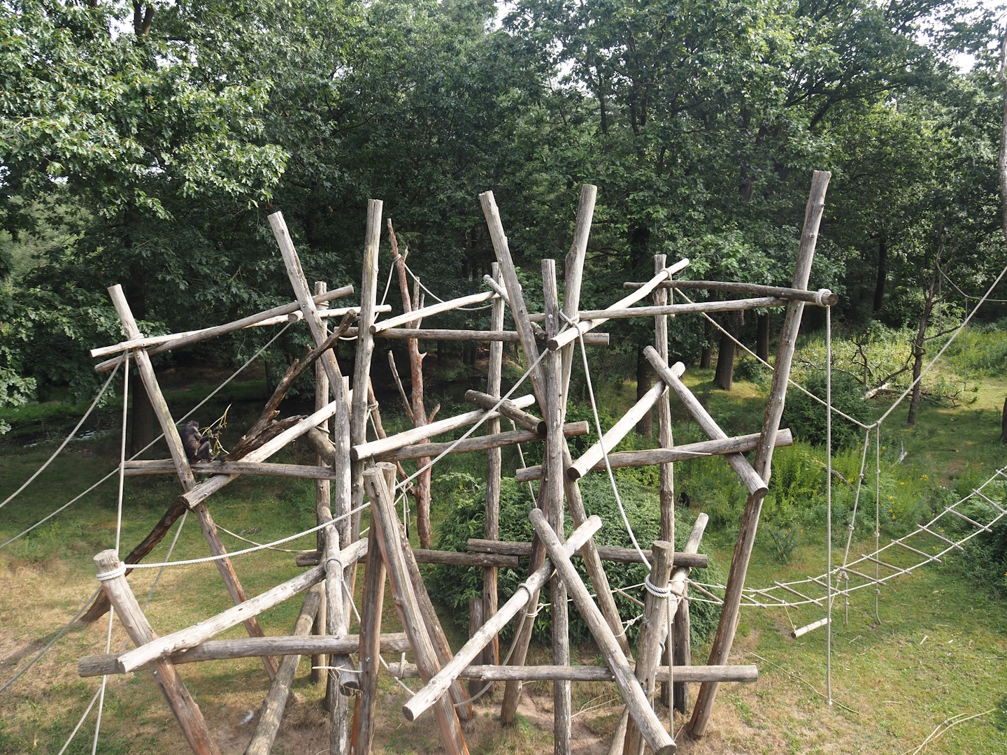 Bonobo island, 2024-08-18