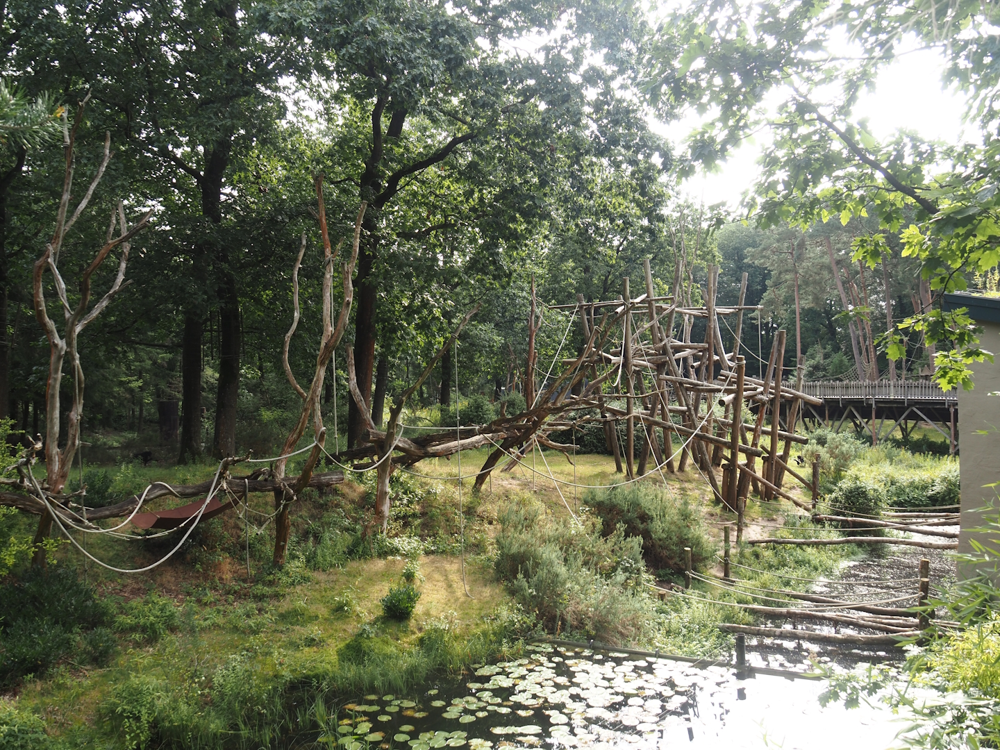 Bonobo island, 2024-08-18