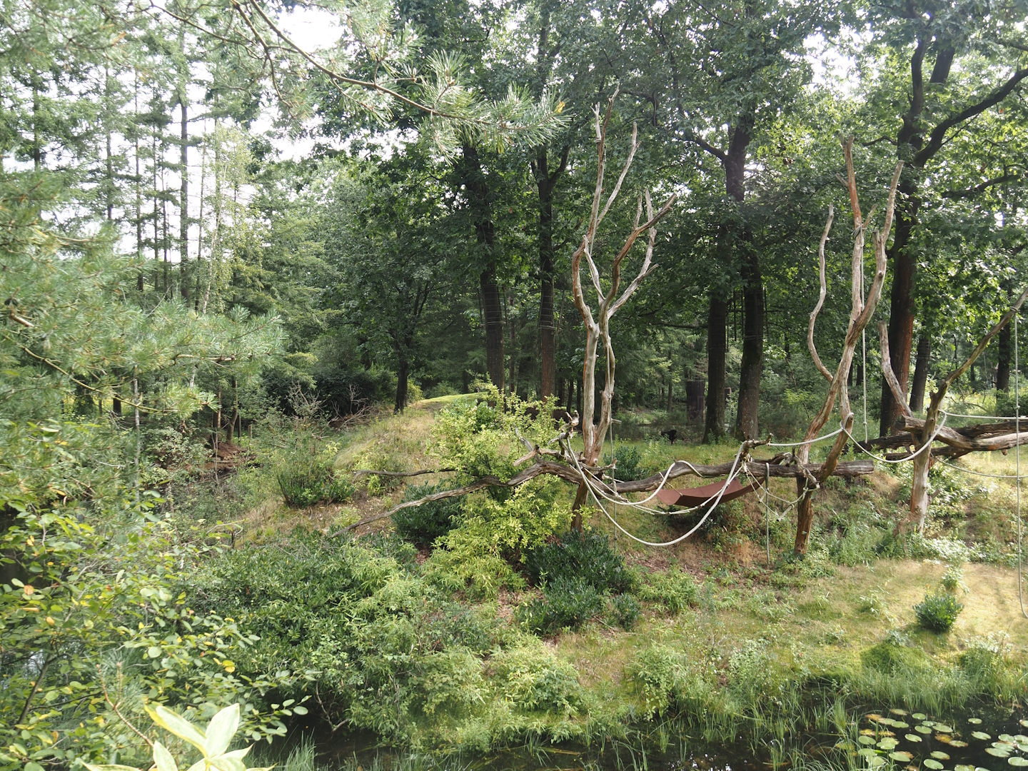 Bonobo island, 2024-08-18