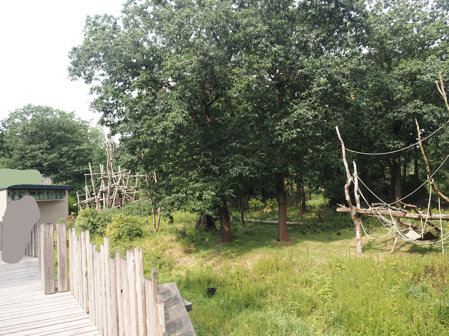 Bonobo island, 2024-08-18