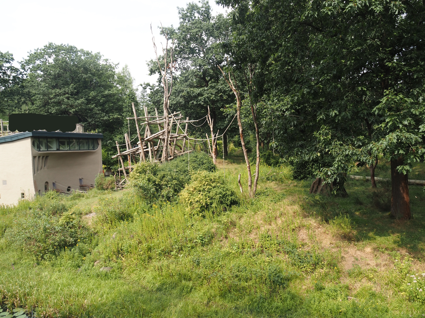 Bonobo island, 2024-08-18