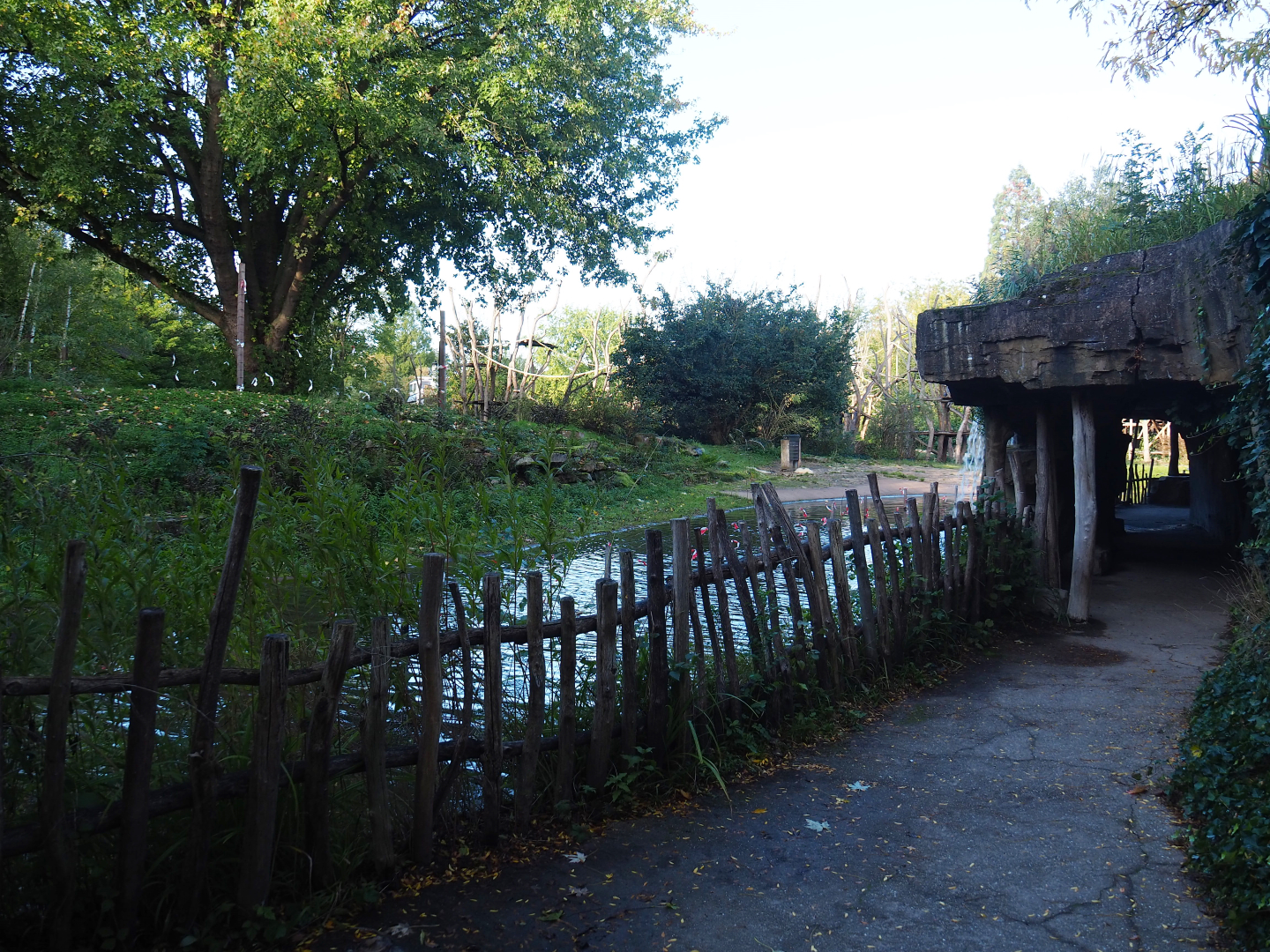 Bonobo island and access to the cave under the African village, 2020-10-10