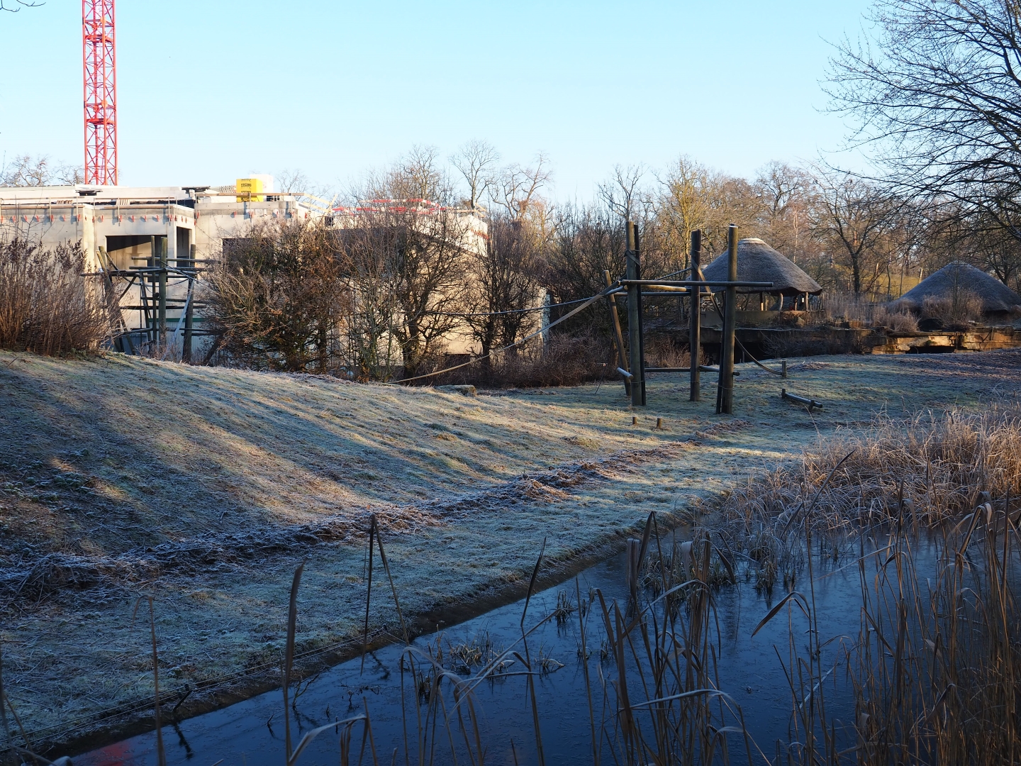 Bonobo island and construction of new bonobo house (Jan 20th, 2019)