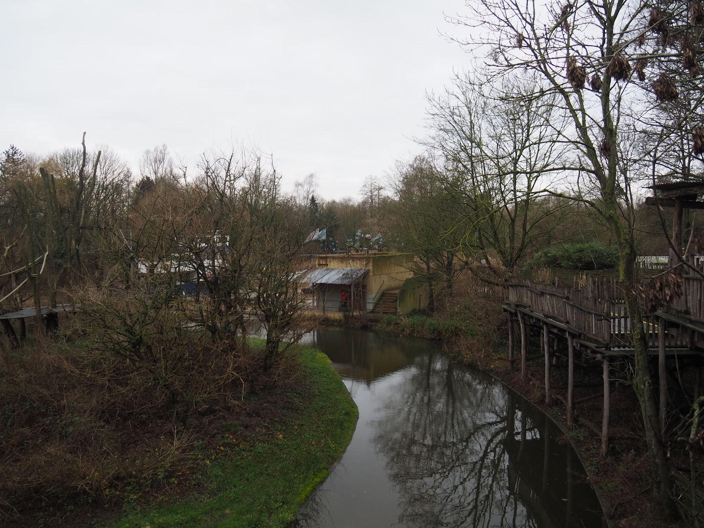 Bonobo island and viewing areas, 2024-01-01