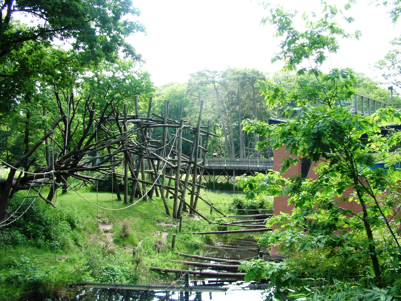 Bonobo Island at Apenheul, 30/05/12