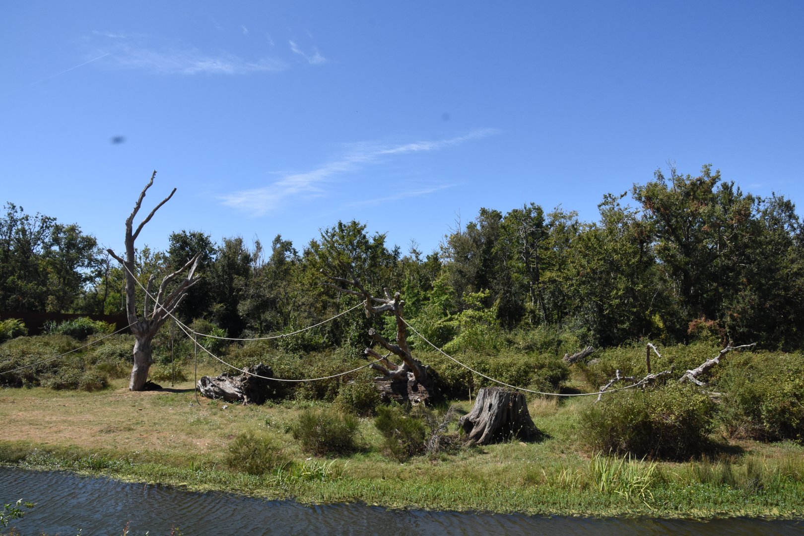 Bonobo island (main viewing point)