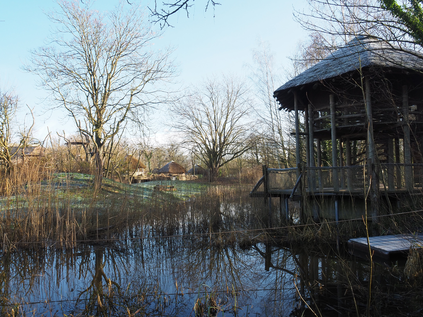 Bonobo island, Raft for adventurous visitors and Viewing area with climbing play area, 2022-02-12