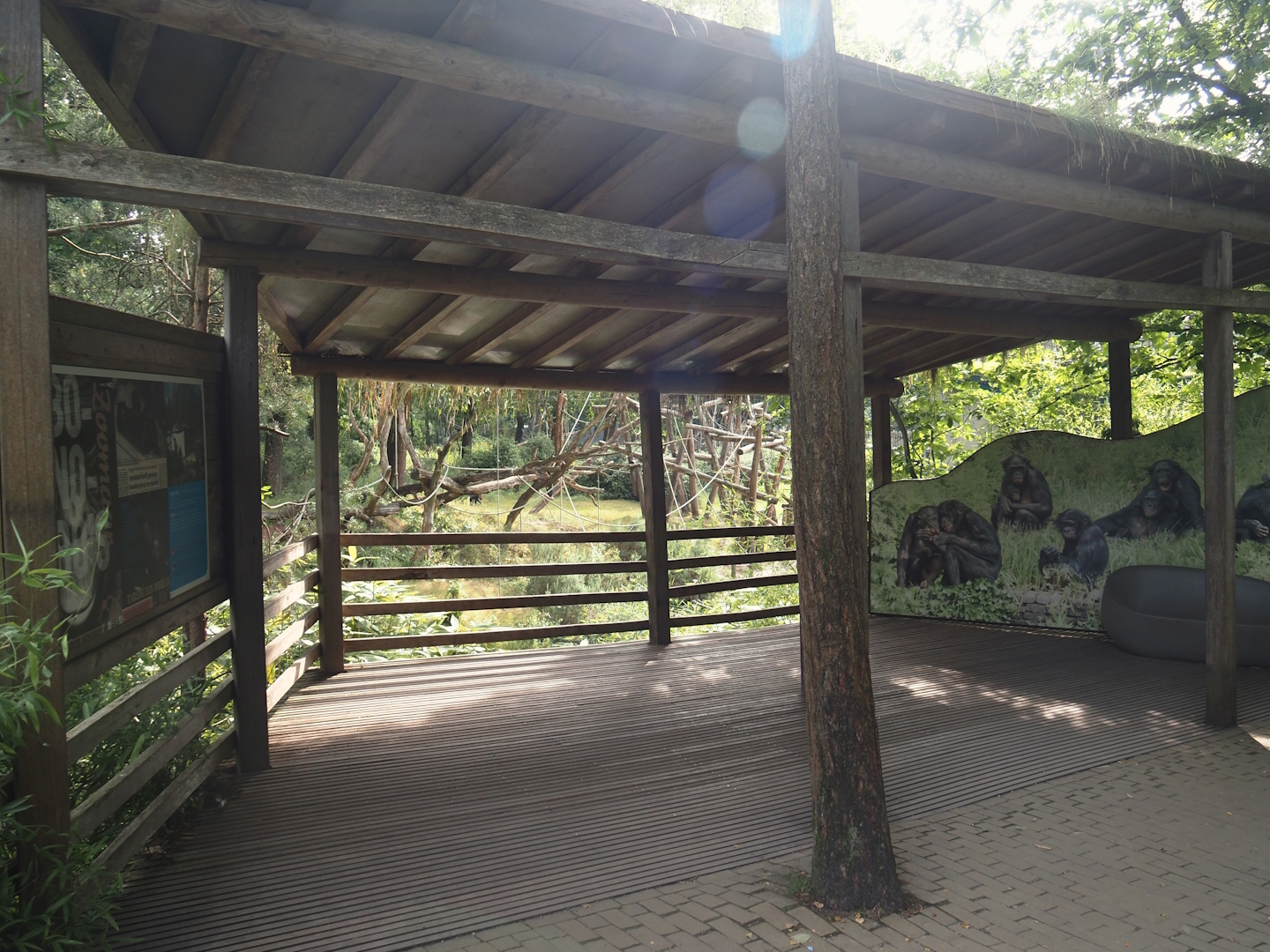 Bonobo island viewing area, 2024-08-18