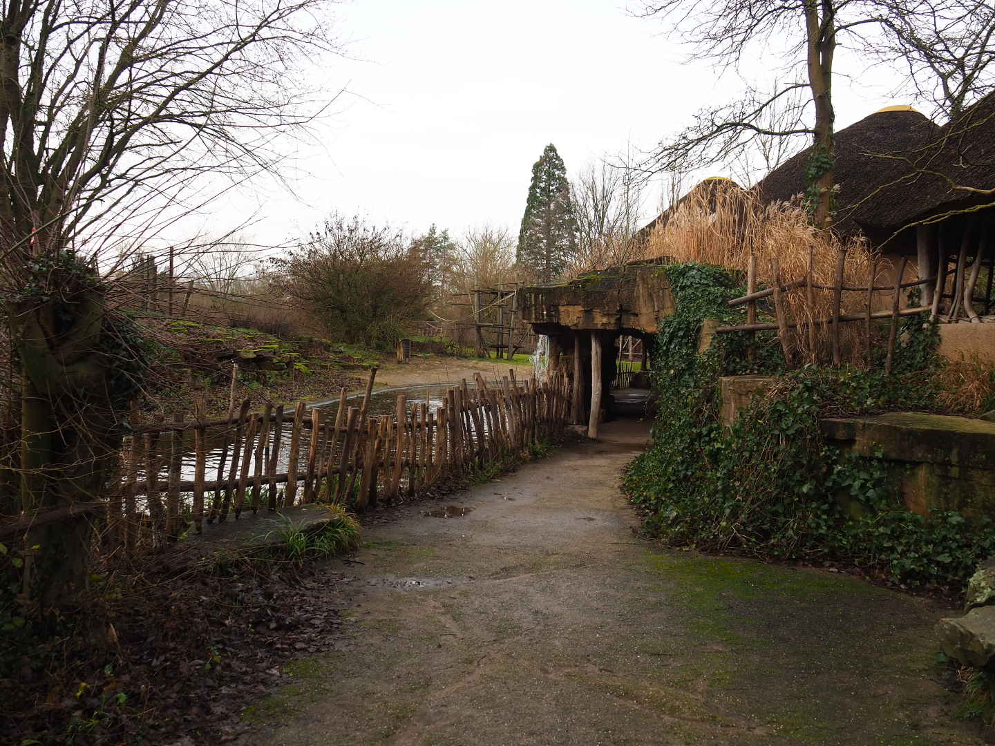 Bonobo island viewing area and access to cave area, 2020-01-11
