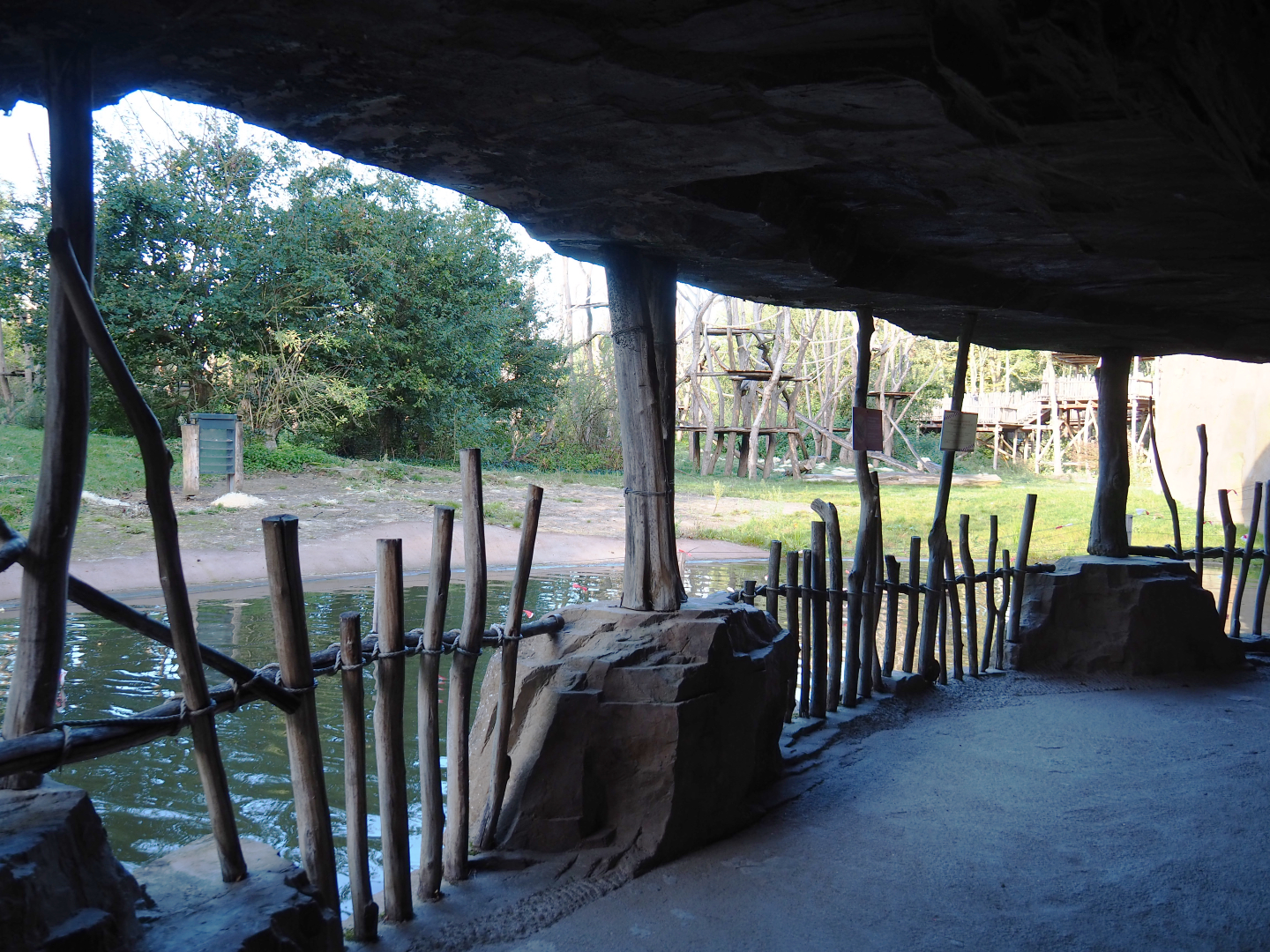 Bonobo island viewing area in the cave under the African village, 2020-10-10
