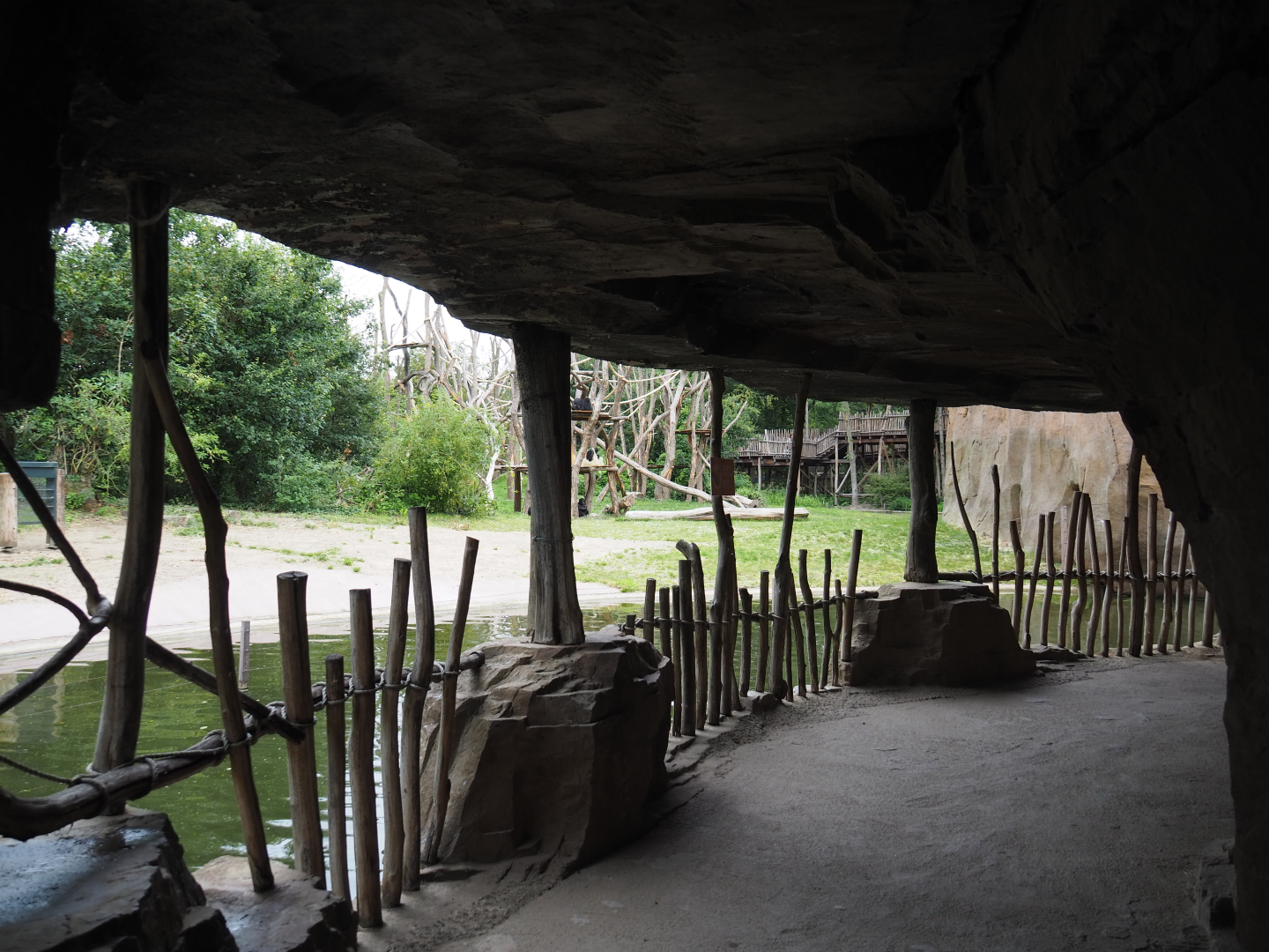 Bonobo island viewing area underneath the African village, 2020-07-14