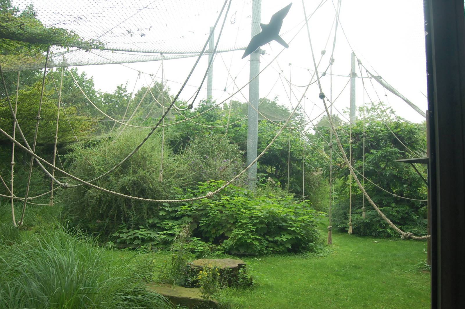 Bonobo Outdoor Exhibit