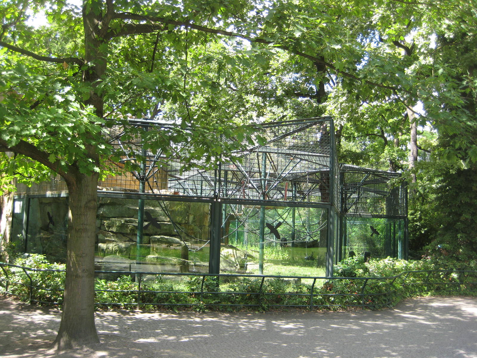 Bonobo Outdoor Exhibit