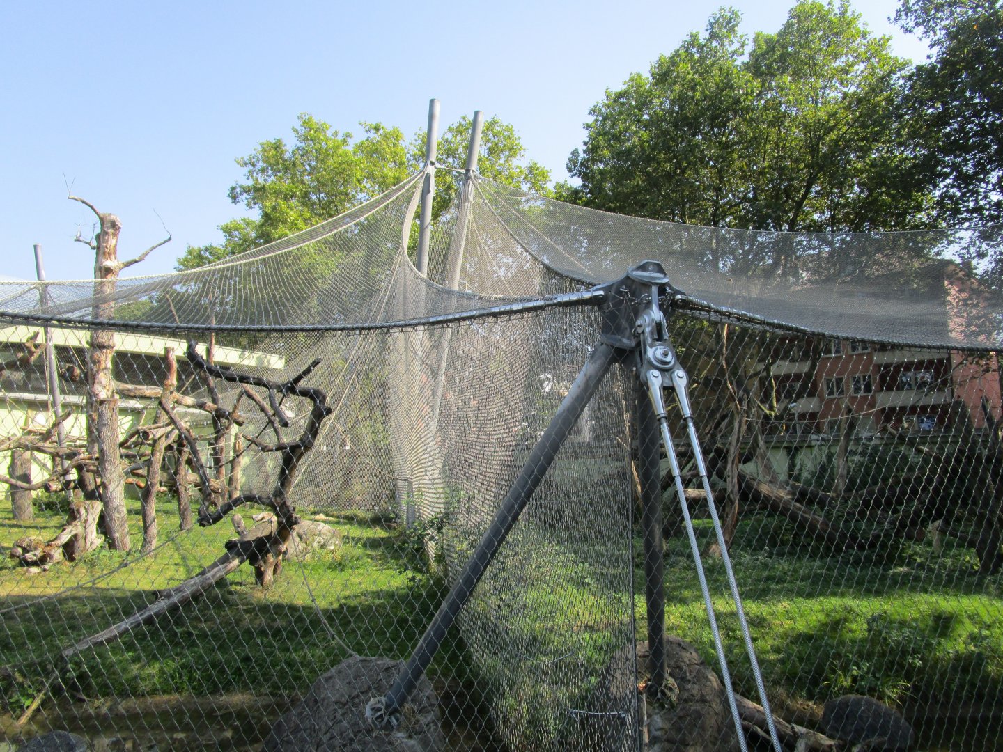 Bonobo Outdoor Exhibits