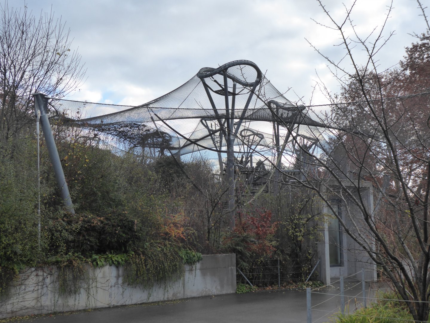 Bonobo outdoors 011218