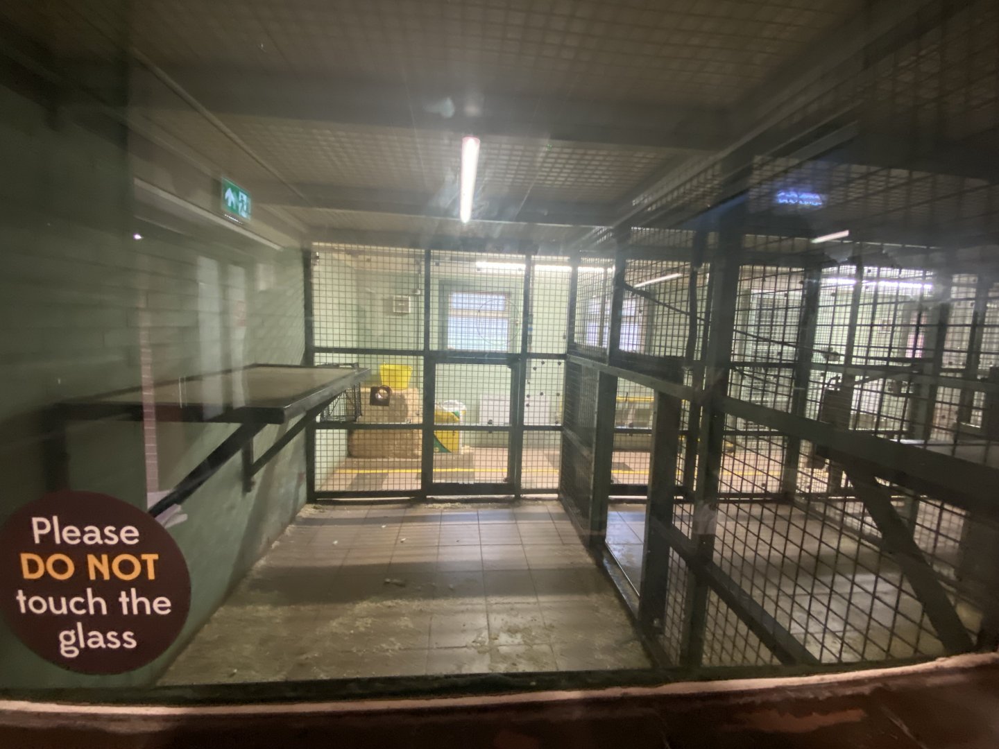 Bonobo separation area