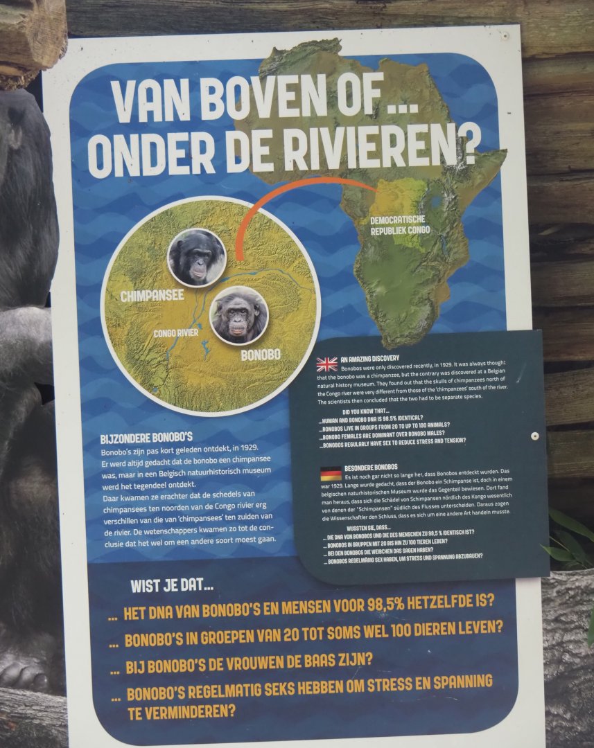 Bonobo signage, 2024-08-18