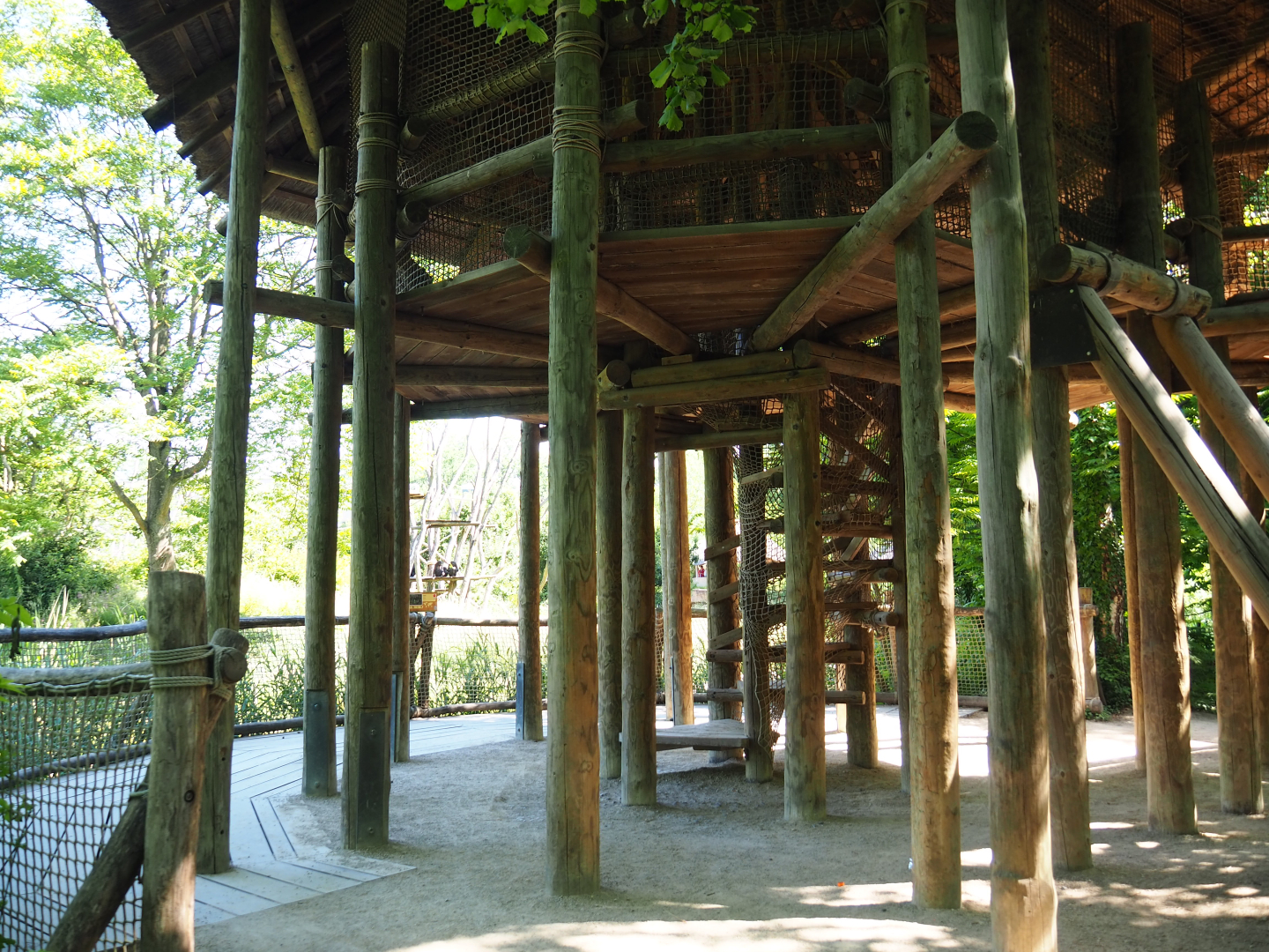 Bonobo viewing area with climbing play tower for children, 2022-06-15