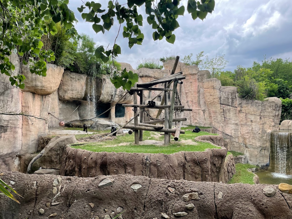 Bonobos at World of Primates