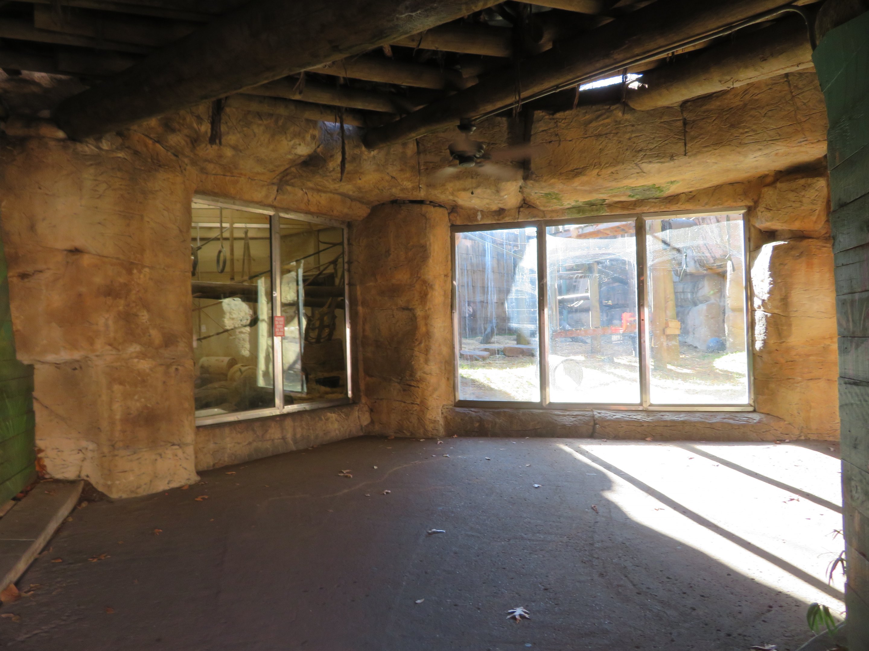 Bonobos - Only Viewing Area