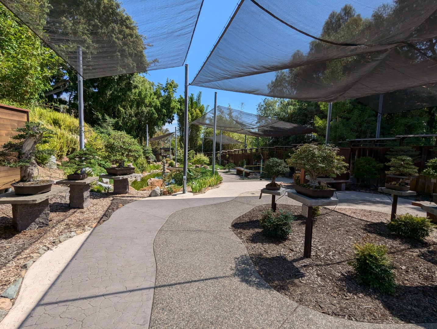 Bonsai Pavilion
