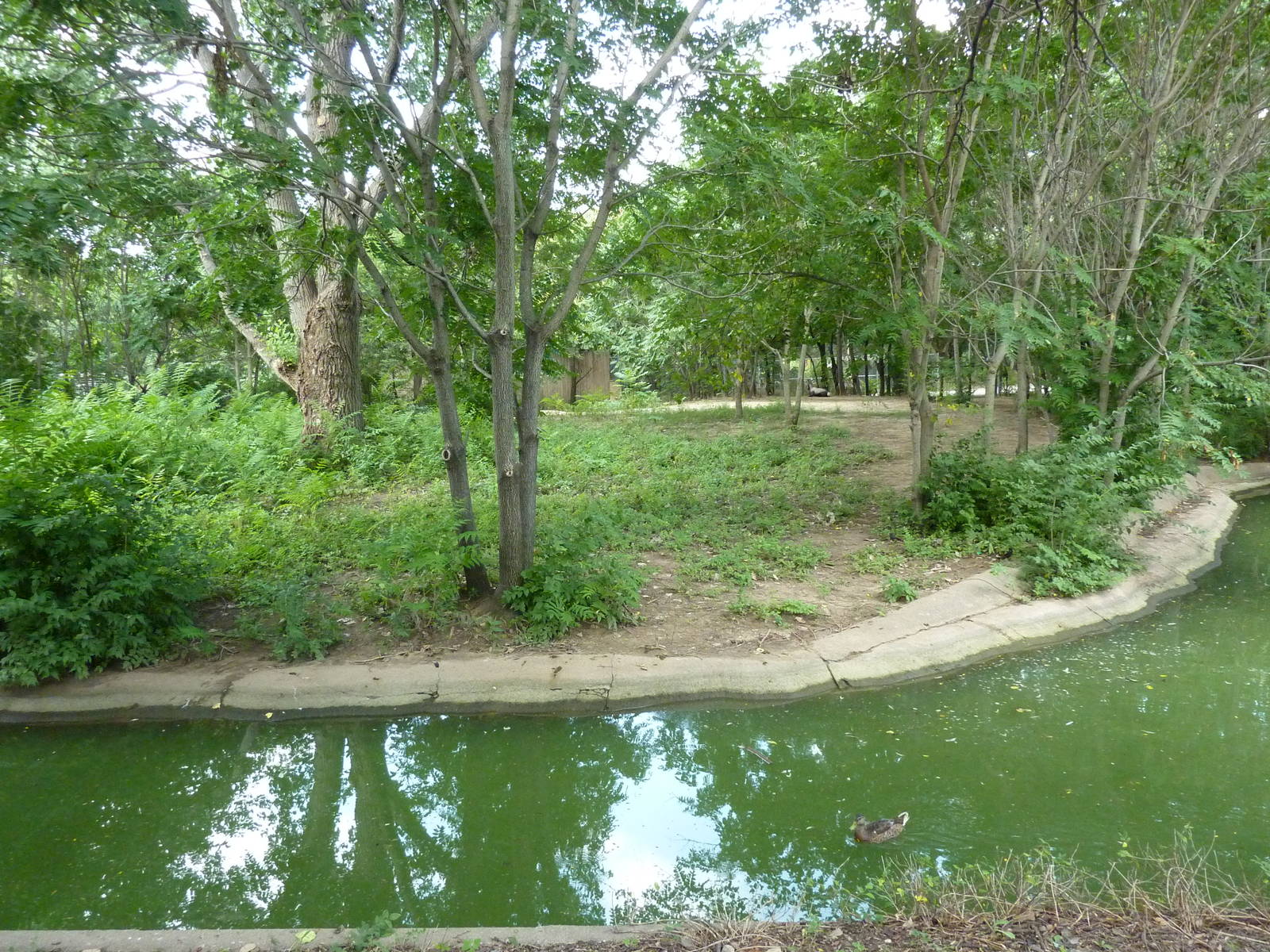 Bontebok/Abyssinian Ground Hornbill Enclosure