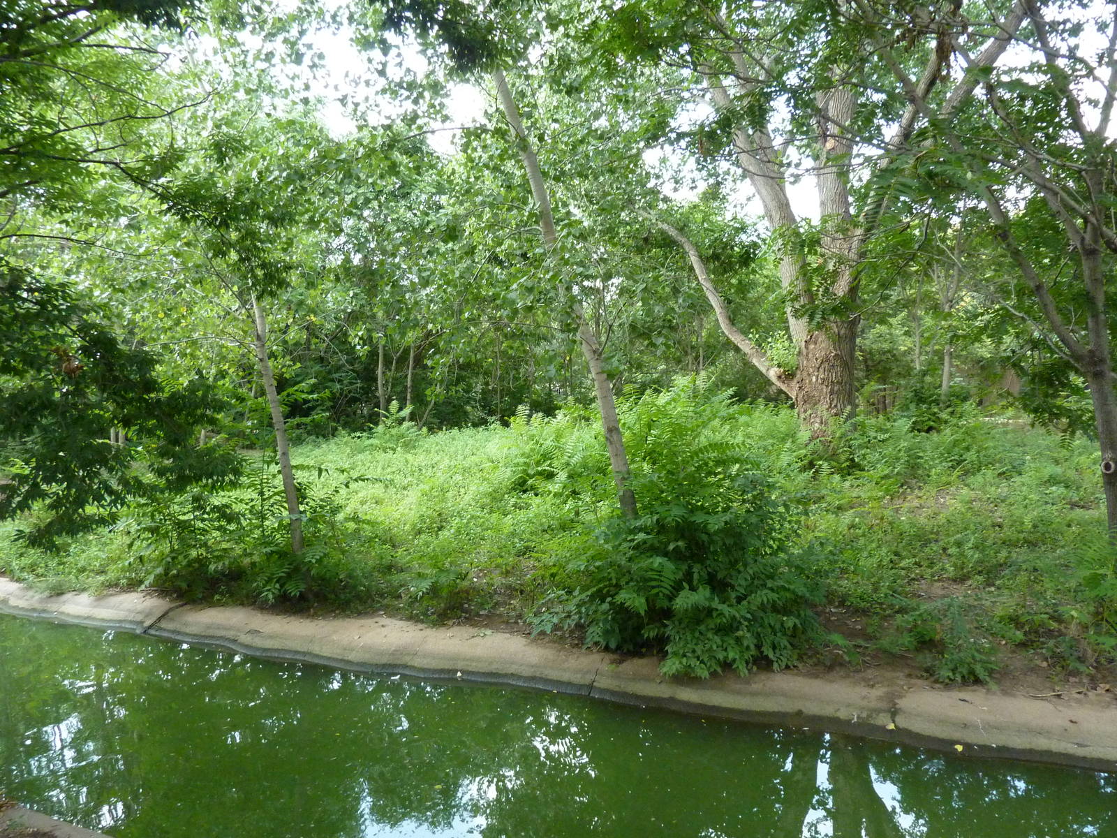 Bontebok/Abyssinian Ground Hornbill Enclosure