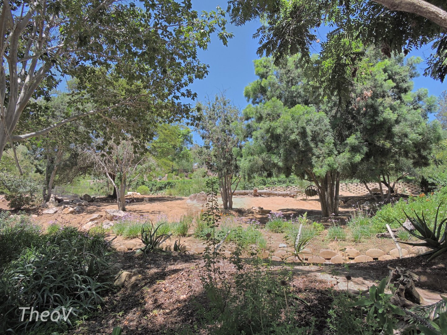 Bontebok exhibit [2015]