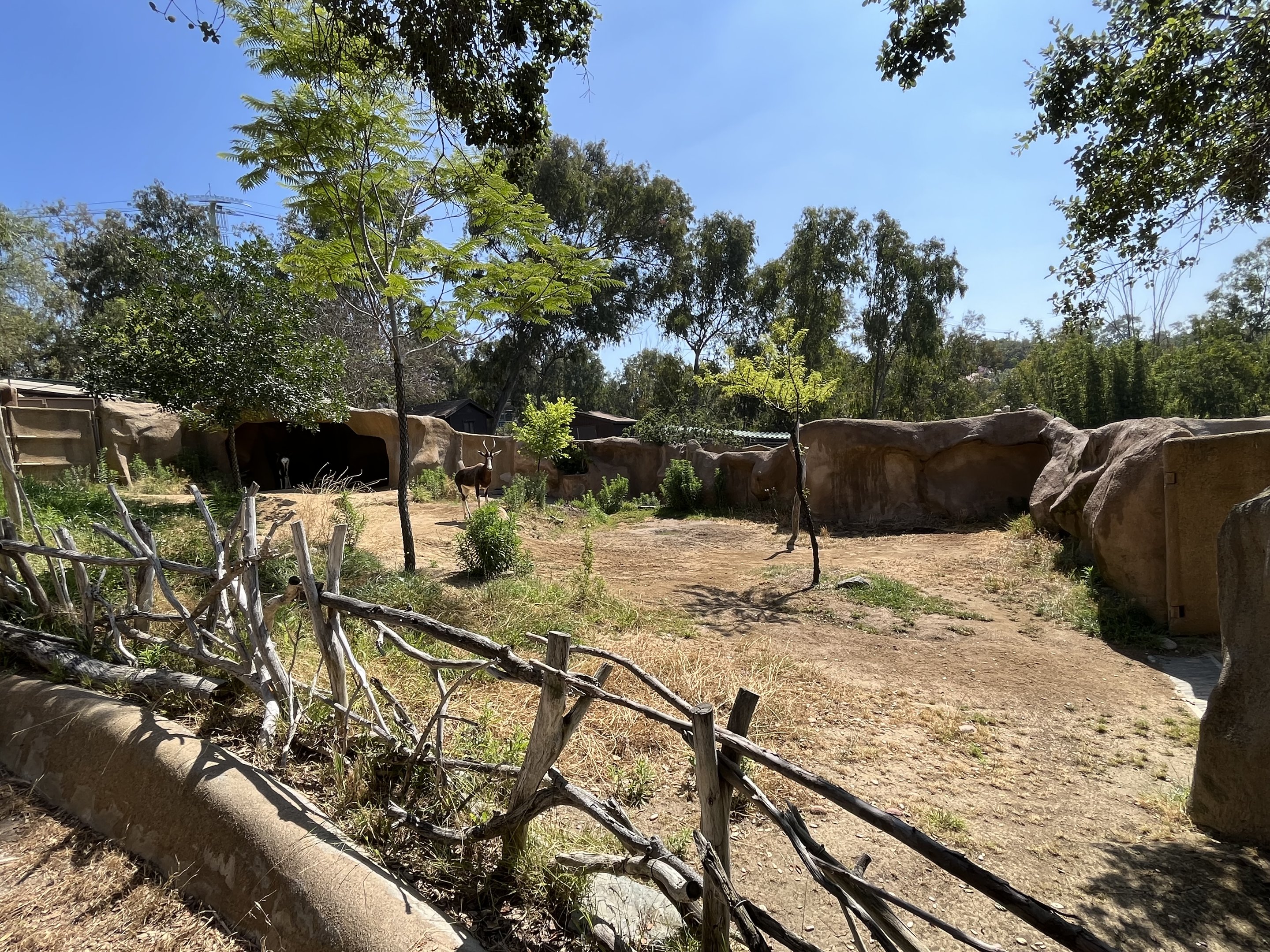 Bontebok Exhibit (2nd half)