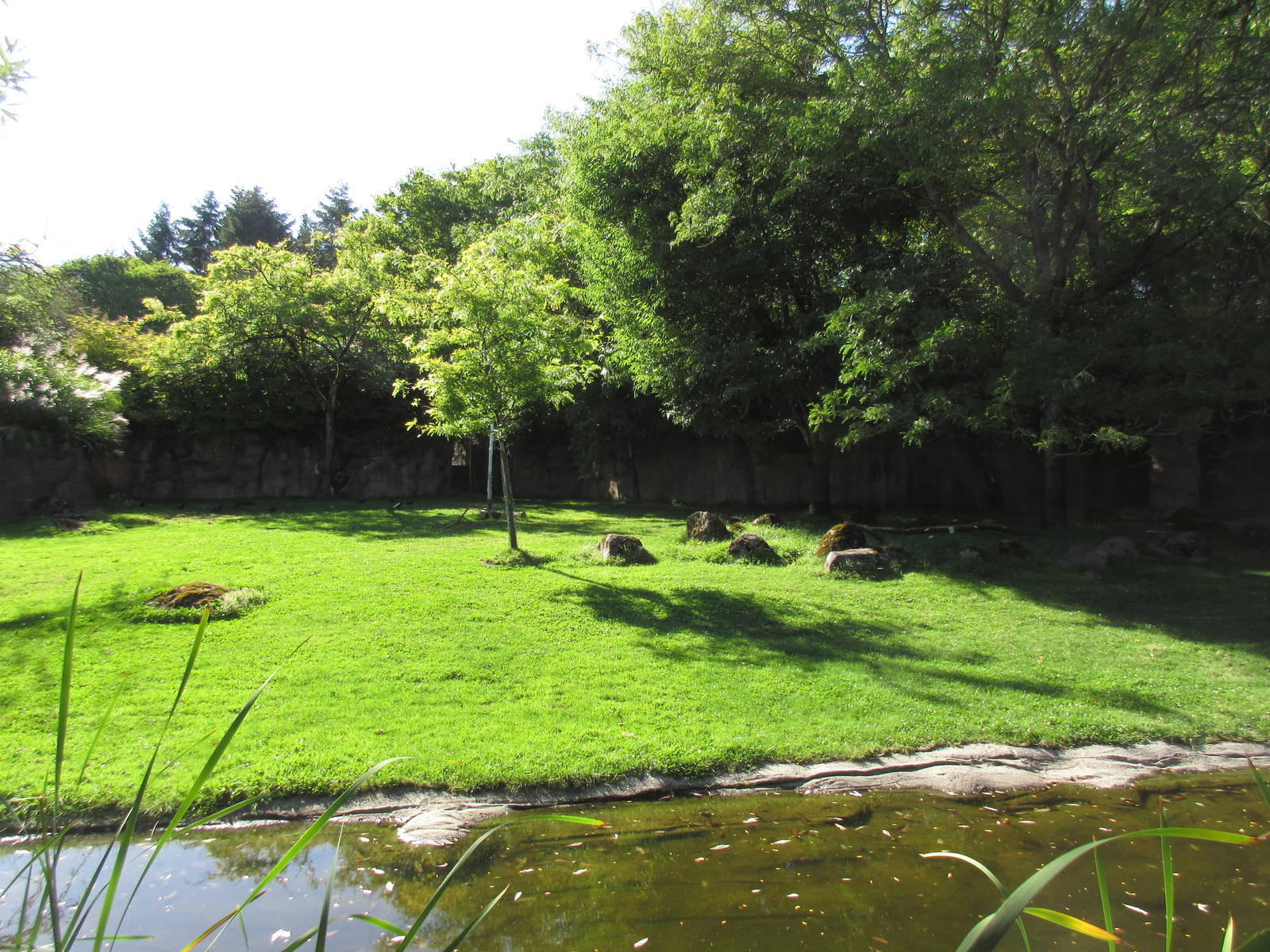 Bontebok/Speke's Gazelle Exhibit (old zebra yard)