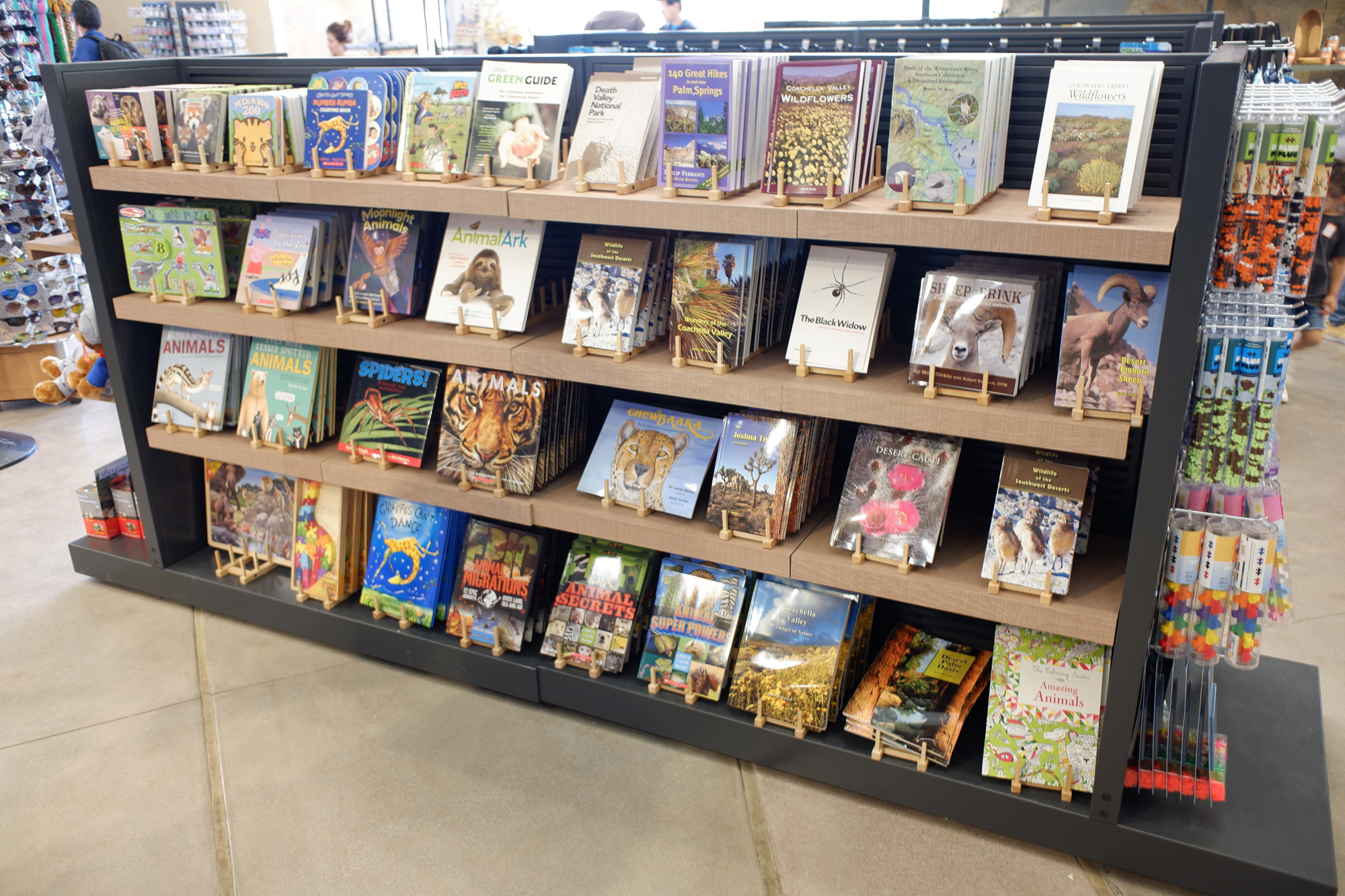 book shelf in gift shop