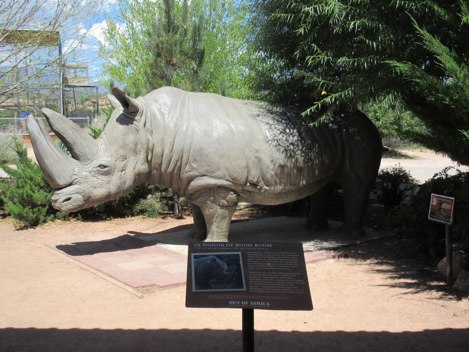 Boom Boom (White Rhino Statue)
