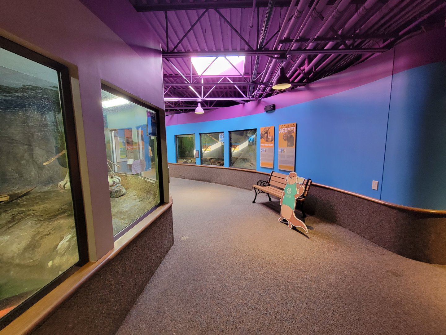 Boonshoft - Agouti and sloth up ahead on right, otters on left