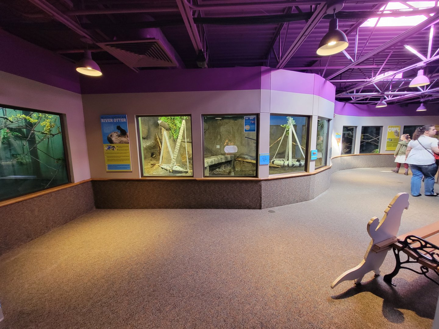 Boonshoft - North American river otter exhibit