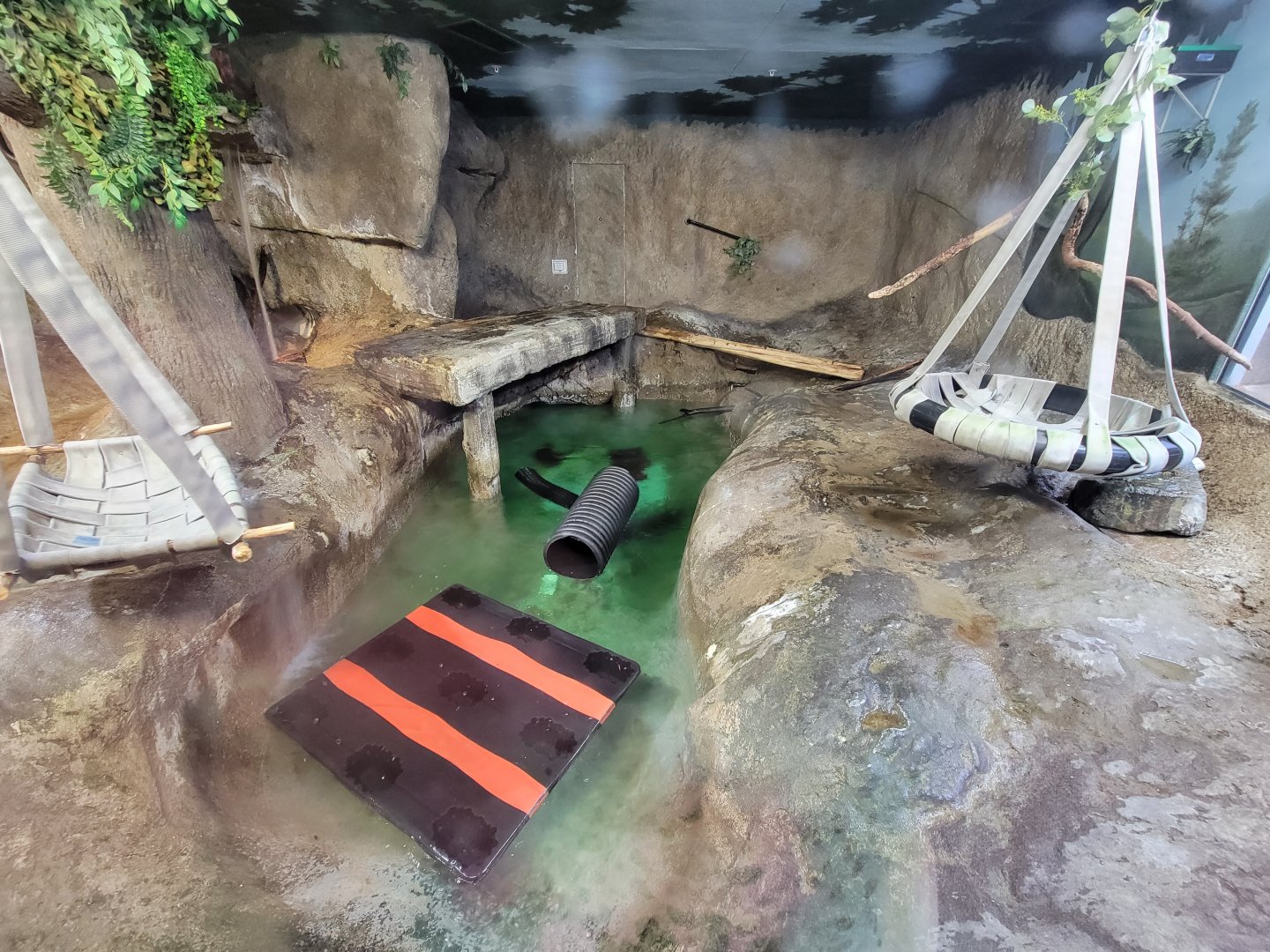 Boonshoft - North American river otter exhibit