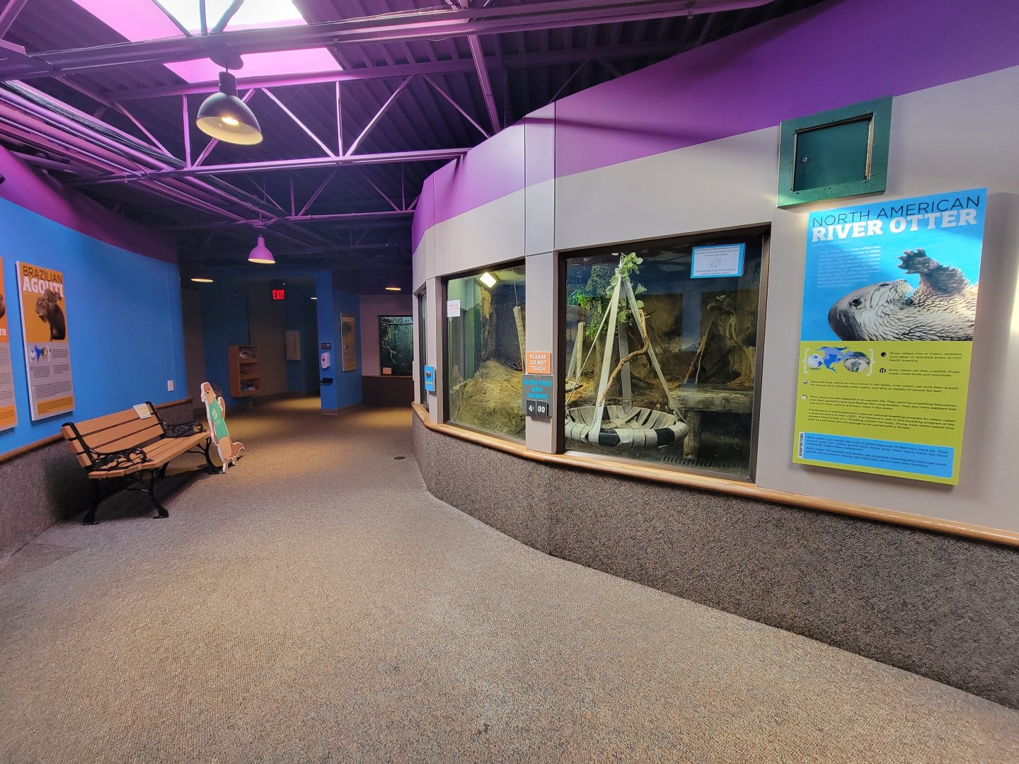 Boonshoft - Otters on right, lorikeets and water monitor ahead