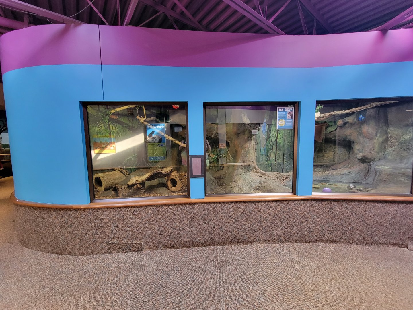 Boonshoft - Red-rumped agouti and Linnaeus's sloth