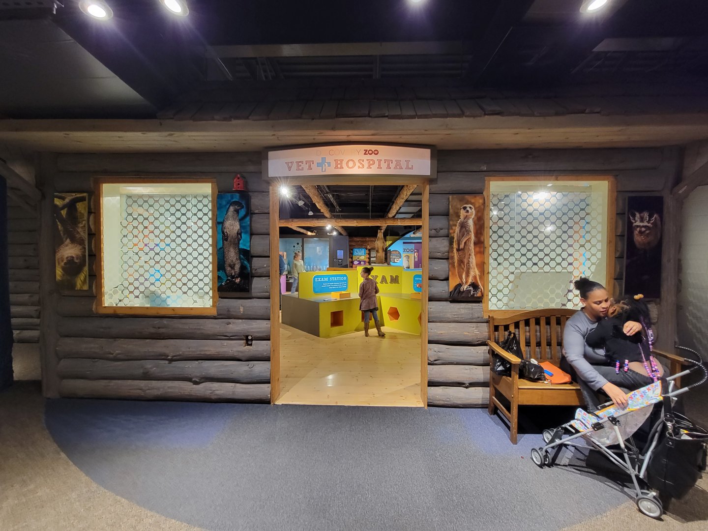 Boonshoft - Vet "Hospital"