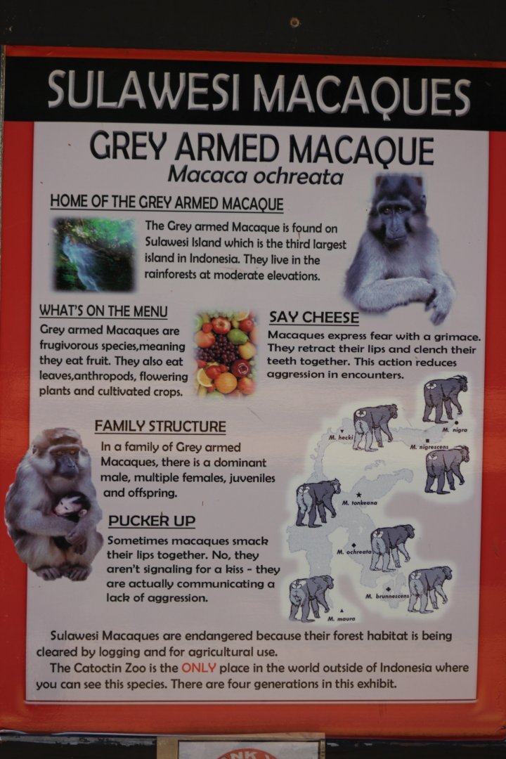 Booted Macaques sign