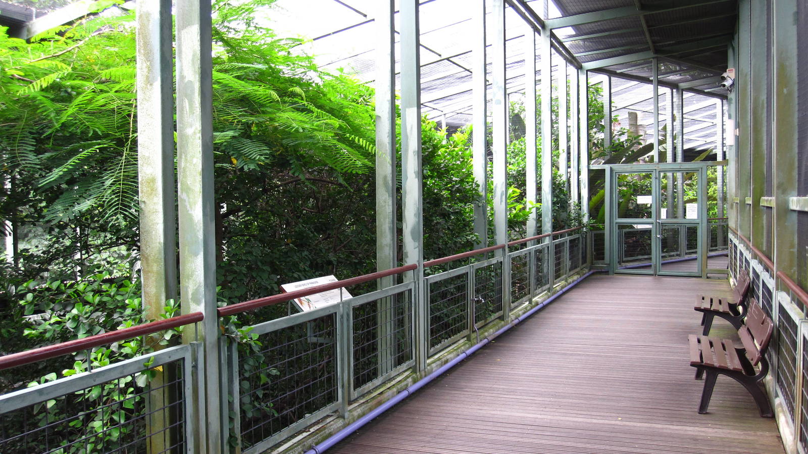 BoP Walk-thru Aviary, Window on Paradise - Jurong Bird Park