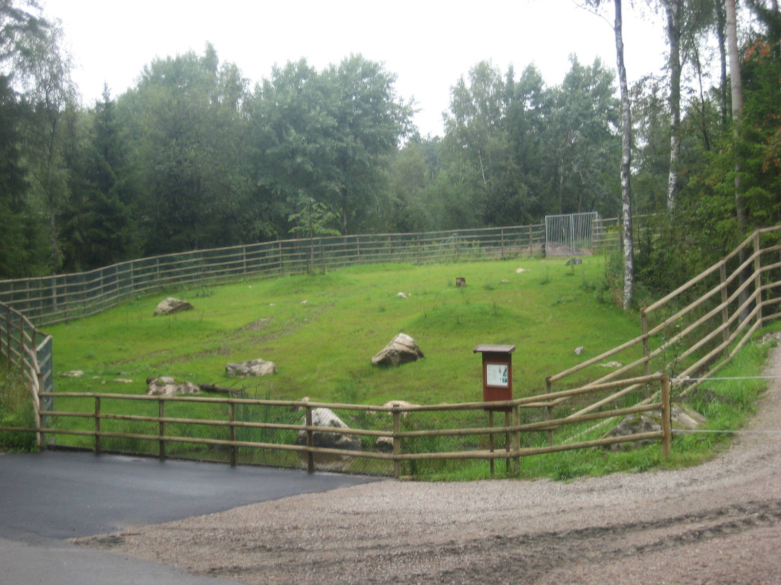 Borås Zoo - Bongo exhibit