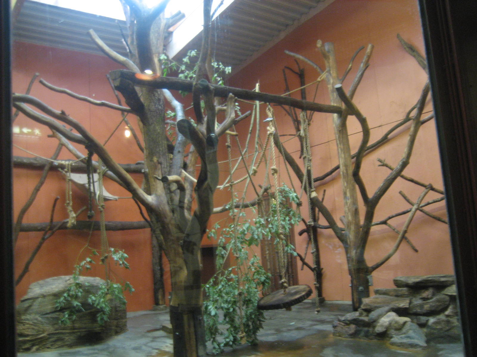 Borås Zoo - Monkey indoor exhibit