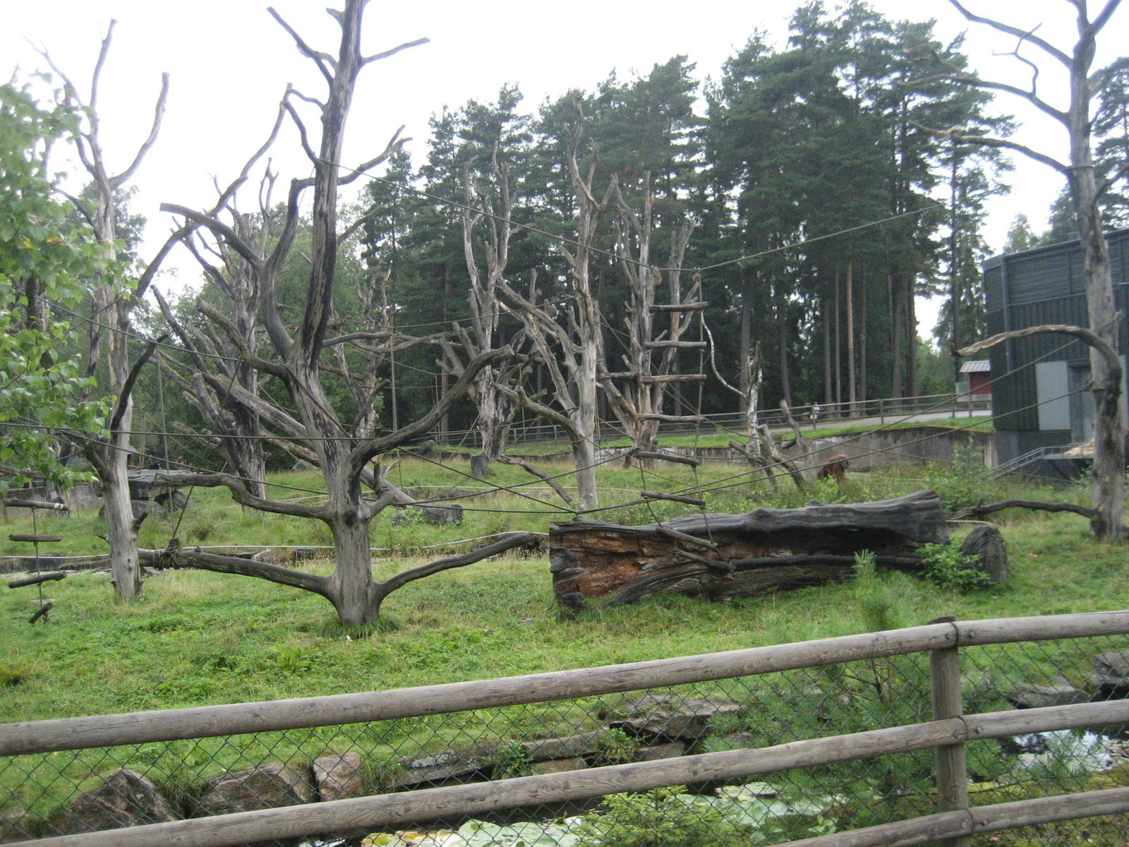 Borås Zoo - Monkey islands