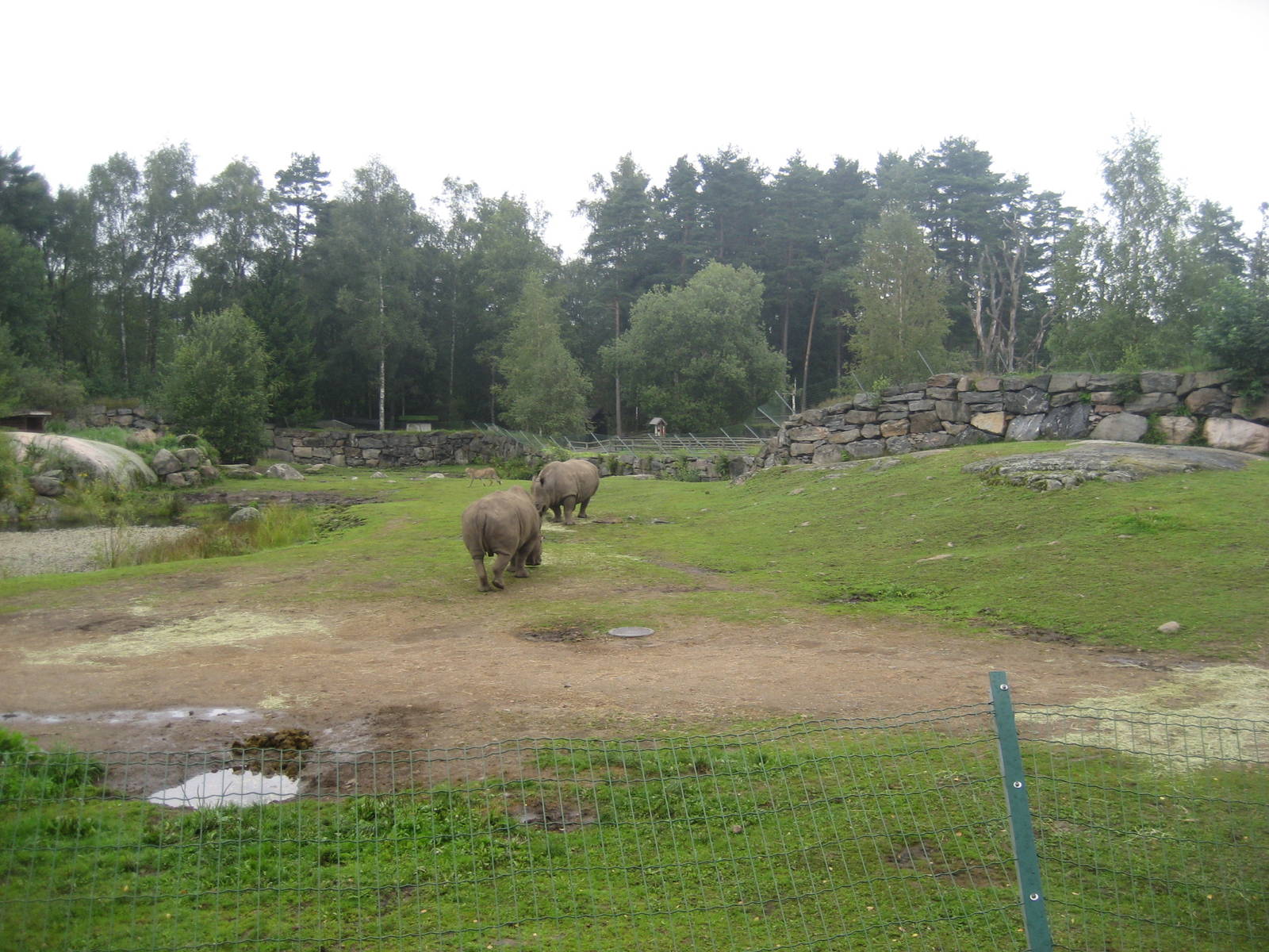 Borås Zoo - Rhino/cheetah exhibit