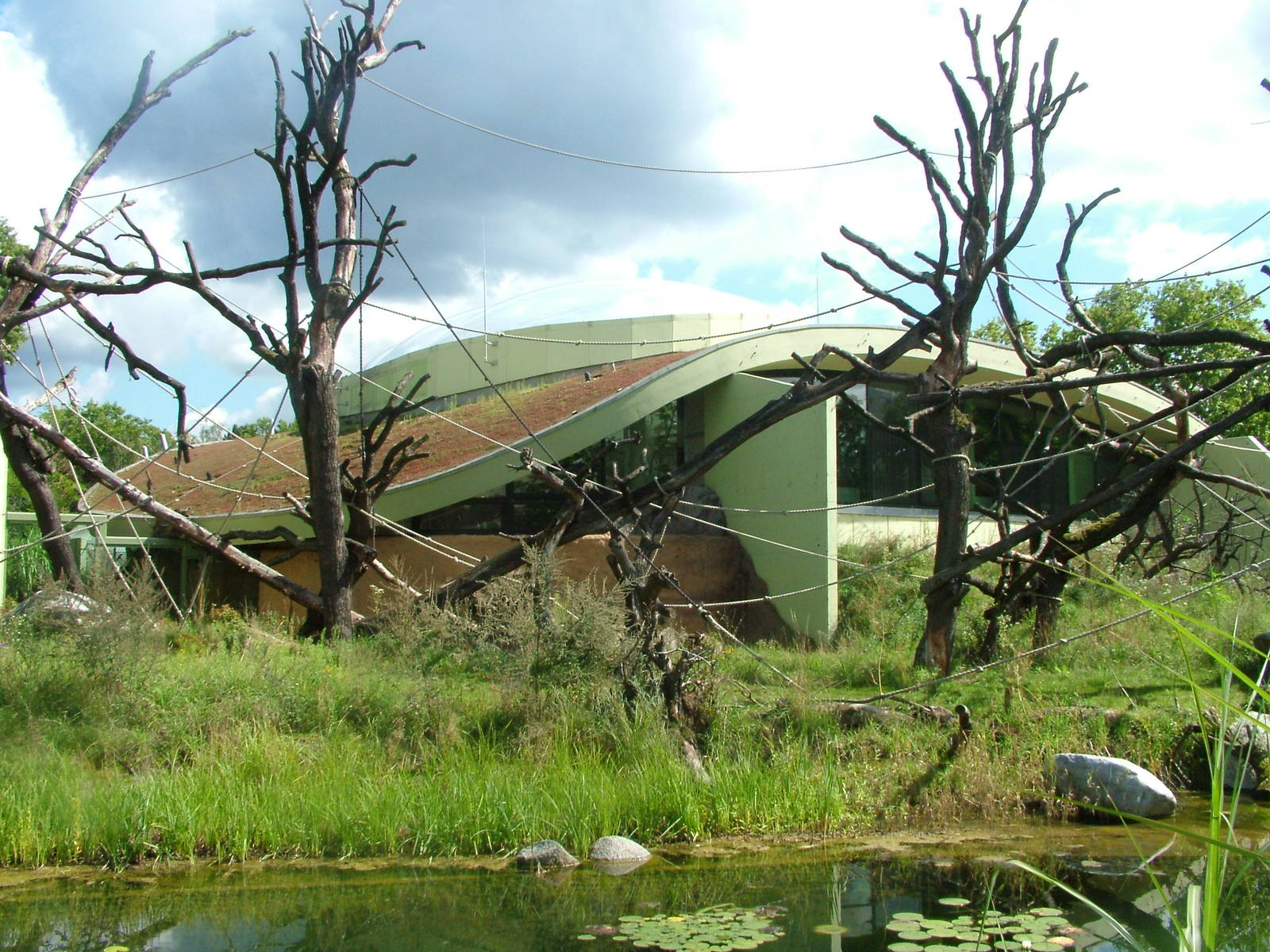 BorgoriWald Ape House at Frankfurt 31/08/10