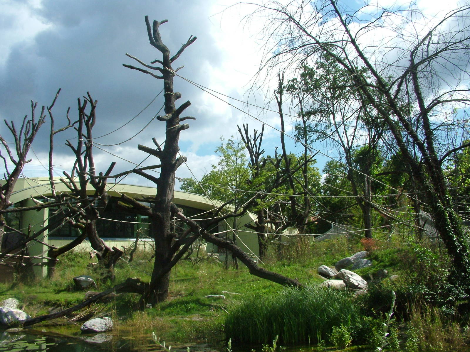 BorgoriWald Ape House at Frankfurt 31/08/10