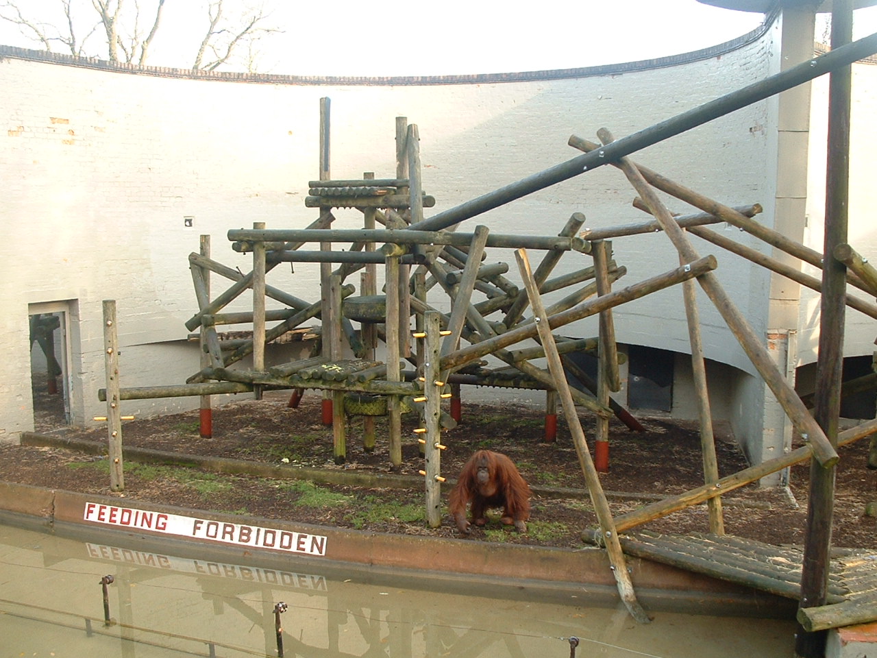 Bornean Orang Enclosures - Dudley 2006